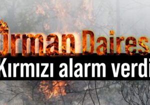 Orman Dairesi yangın tehlikesine karşı kırmızı alarm verdi
