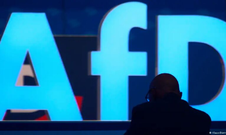 Alman iş dünyası: AfD ekonomiyi kötü etkiliyor