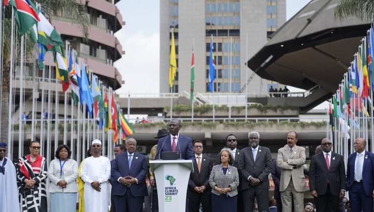 Afrikalı liderlerden iklim değişikliğine karşı küresel vergi talebi