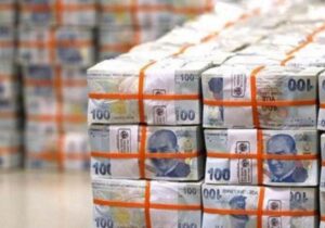 TC Hazine ve Maliye Bakanlığı 17,6 milyar lira borçlanmaya gitti