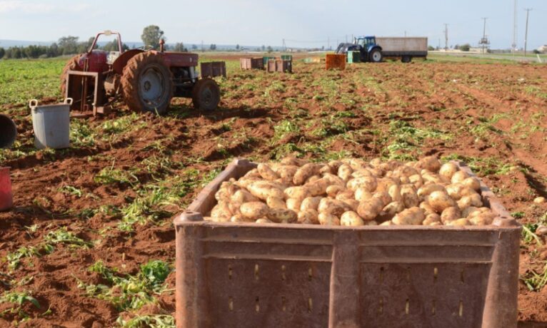 Patates üreticileri fahiş fiyatlardan şikayetçi