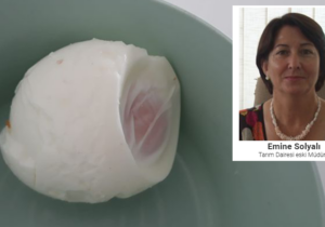 Emine Solyalı’dan uyarı: “Yumurtanın altındaki hava boşluğunun büyüklüğü, yumurtanın bayatlık derecesini gösterir”