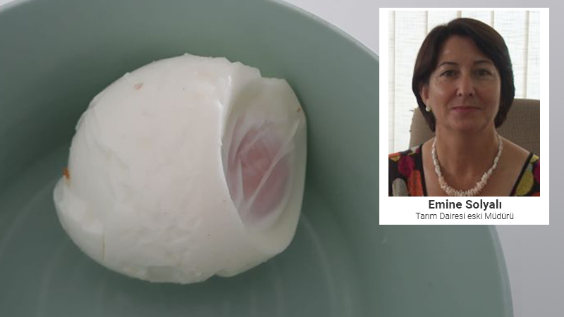 Emine Solyalı’dan uyarı: “Yumurtanın altındaki hava boşluğunun büyüklüğü, yumurtanın bayatlık derecesini gösterir”