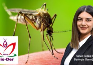 SAĞLIK BAKANLIĞI KİMYASAL İLAÇ FİRMALARINA TESLİM OLDU