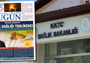 Sağlık Bakanlığı kabul etti ama rakamları yanlış verdi: “Batı Nil Virüsünden 1 kişi öldü, 3 kişi enfekte oldu”
