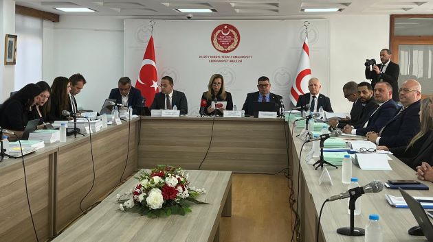 DAÜ ve TÜK, 2024 Mali Yılı Merkezi Devlet Bütçesi içerisinde rakamsal olarak yer almıyor