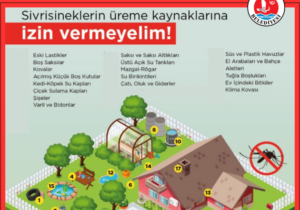 Girne’de sivrisinekle etkin mücadele devam ediyor