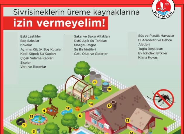 Girne’de sivrisinekle etkin mücadele devam ediyor