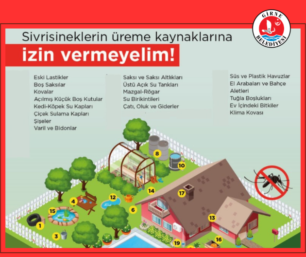 Girne’de sivrisinekle etkin mücadele devam ediyor