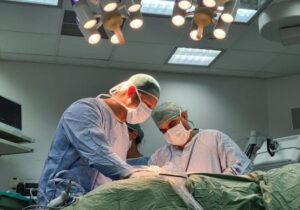 Rapor: İsrail, Filistinlilerin cesetlerini organ ticareti için yağmalıyor