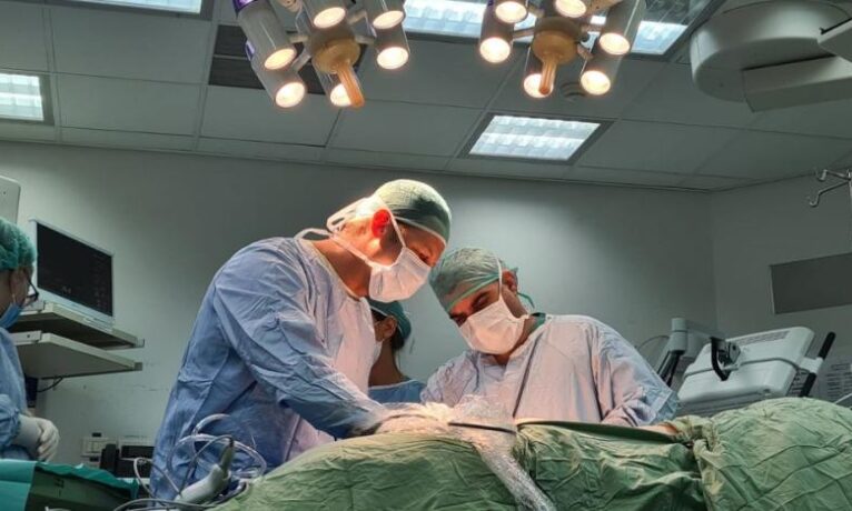 Rapor: İsrail, Filistinlilerin cesetlerini organ ticareti için yağmalıyor