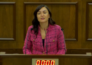 Rogers: İnsan ticareti görmezden geliniyor, sorunlar yılan hikayesine dönüyor