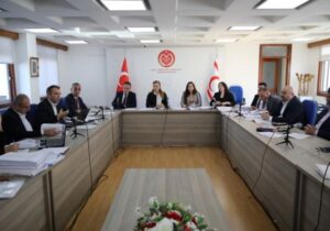 Kara para aklamaya karşı yasa komitede ele alındı