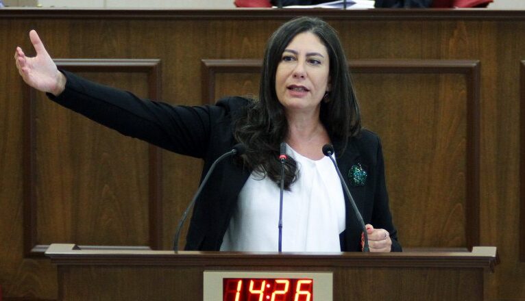 Sıla Usar İncirli: “Ulaştırma Bakanlığı dairelerin içini boşalttı, işleri özel şirketlere devretti!”