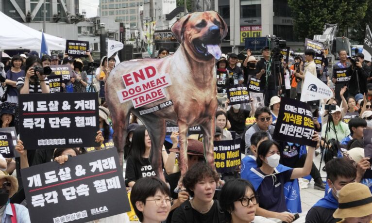 Güney Kore Meclisi, köpek eti tüketimini yasaklayan tasarıyı onayladı