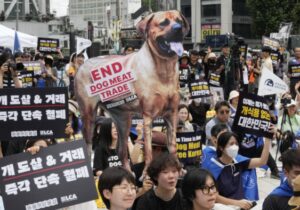 Güney Kore Meclisi, köpek eti tüketimini yasaklayan tasarıyı onayladı