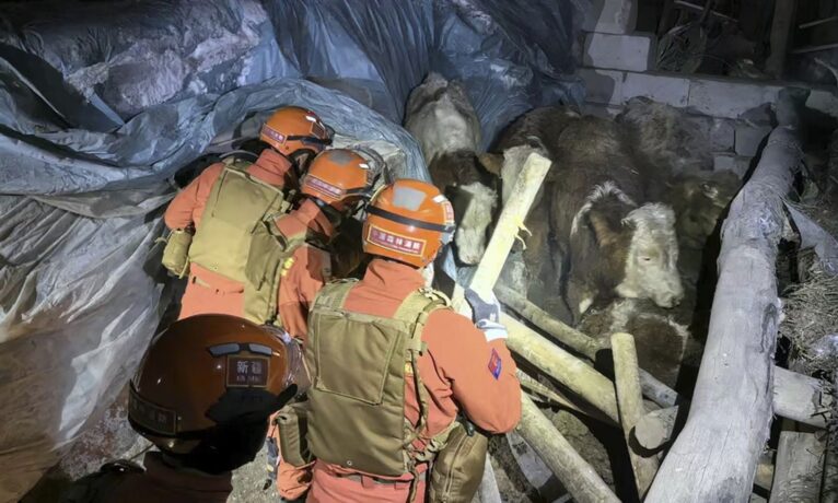 Kırgızistan-Çin sınırında yaşanan 7,1 büyüklüğündeki deprem sonrası kurtarma çalışmaları sürüyor