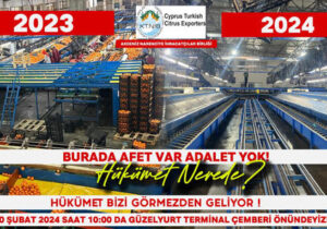 Narenciye İhracatçılar Birliği isyan etti: Hükümet bizi görmezden geliyor