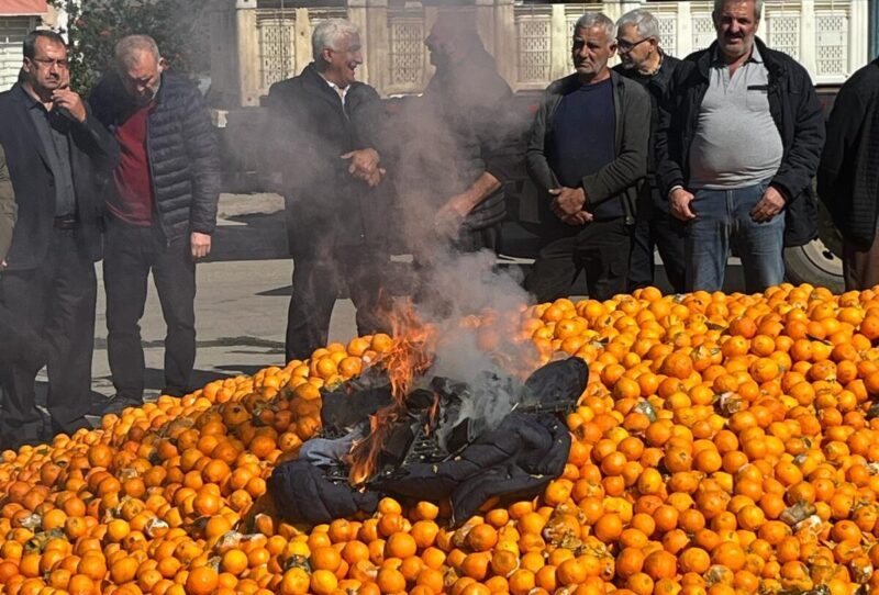 Güzelyurt’ta Portakal Çemberi ateşe verildi