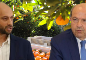 “Tatar narenciye krizinin neresinde?”