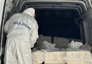 Portekiz polisi, donmuş balıkların içine gizlenmiş 1,3 ton kokain ele geçirdi