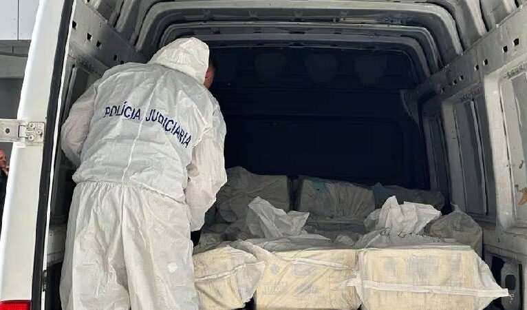 Portekiz polisi, donmuş balıkların içine gizlenmiş 1,3 ton kokain ele geçirdi