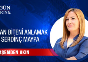 OLAN BİTENİ ANLAMAK VE SERDİNÇ MAYPA