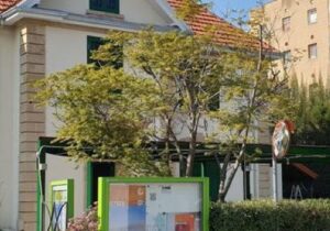 Kıbrıslı Türk seçmenler Avrupa Parlamentosu seçimlerinde Goethe Enstitüsü’nde oy kullanabilecek