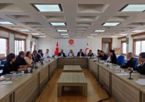 Yabancılara mal satışını düzenleyen yasa komitede görüşülmeye başlandı
