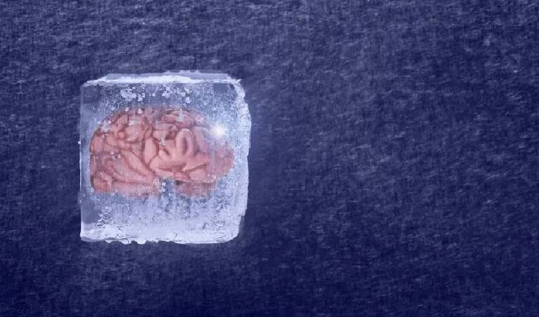 Dondurulmuş insan beyin dokusu hayata döndürüldü