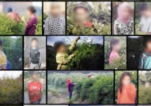 Lüks parfüm üretiminin arkasında çocuk işçiler var
