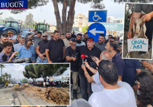 Naimoğulları: “Ürettiğimiz ürün TL’ye, giderlerimiz dövize endeksli”