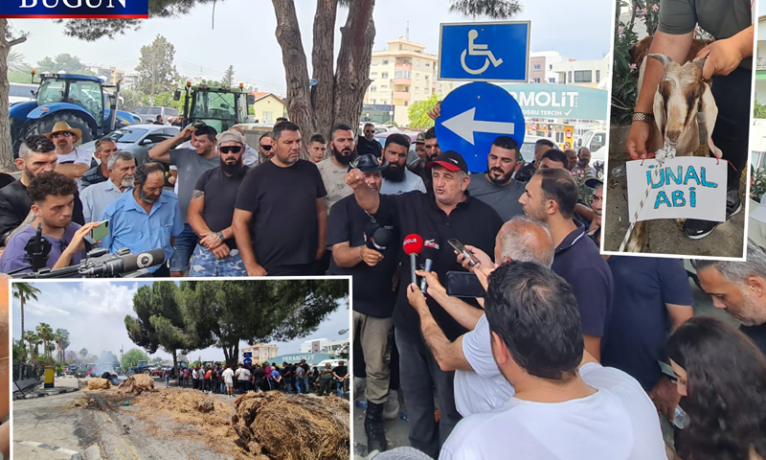 Naimoğulları: “Ürettiğimiz ürün TL’ye, giderlerimiz dövize endeksli”