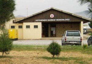 Veteriner Dairesi ithal edilecek etlerin adaya girişte kontrol edileceğini duyurdu