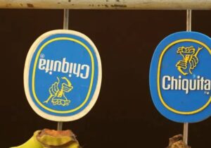 Chiquita muz şirketi Kolombiya’daki paramiliterlere maddi yardımda bulunmaktan suçlu bulundu
