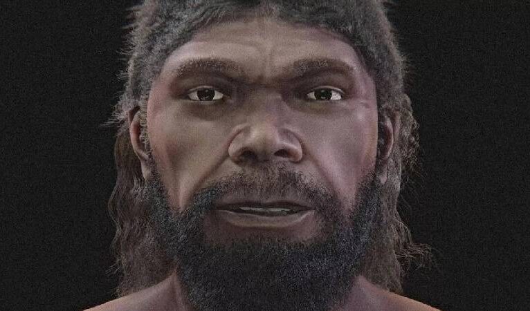 En eski insan atasının yüzü yeniden oluşturuldu