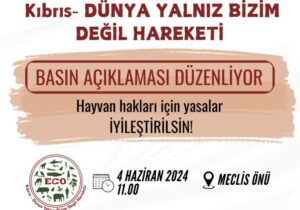 Meclis önünde eylem: Hayvanlar mal değil, can!