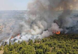 Güney orman yangınları için kırmızı alarmda