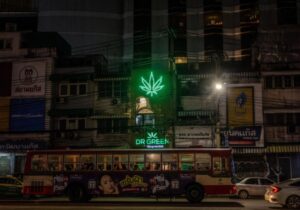 Tayland esrarı yasaklamaktan vazgeçti