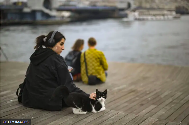 Türkiye I Yeni yargı paketi Meclis’te: Kadın bekarlık soyadını tek başına kullanamayacak