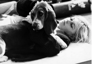 Brigitte Bardot’dan Erdoğan’a sokak hayvanları yasa teklifinin geri çekilmesi çağrısı
