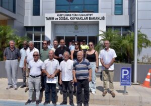 Çevre Platformu’ndan bakanlığa protesto: “Çam kese böceği sorunu acil çözüm bekliyor”