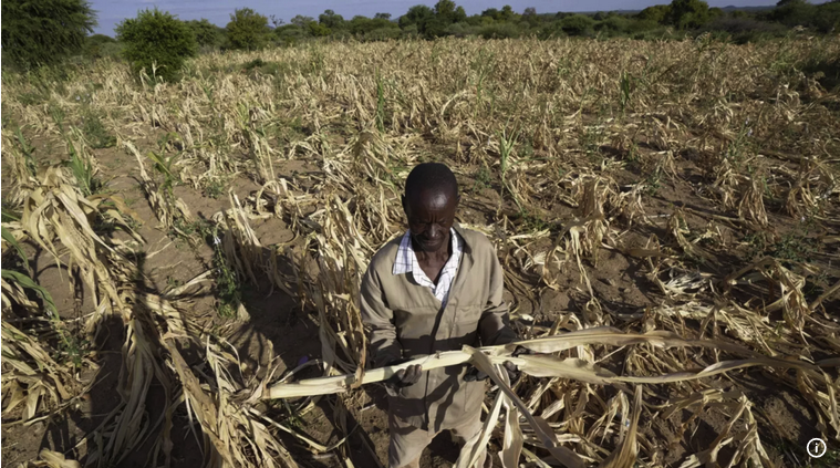 Güney Afrika’da aileler kızlarını yiyecek karşılığında evlendiriyor