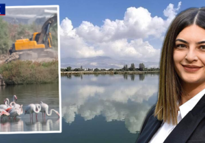 Biyologlar Derneği: Haspolat sulak alanı yok olma tehlikesiyle karşı karşıya
