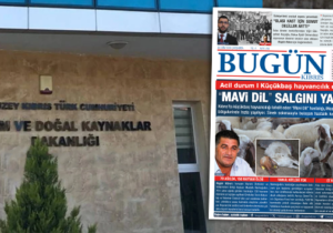 Küçükbaş hayvanlarda Mavi Dil salgını: 133 işletmede tespit, 193 hayvan telef oldu