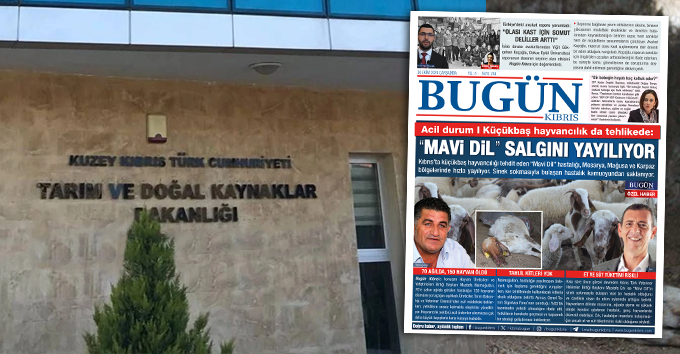 Küçükbaş hayvanlarda Mavi Dil salgını: 133 işletmede tespit, 193 hayvan telef oldu