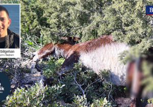 Gençlerden yöneticilere sert tepki: Meclisin ihmali, bir katliama daha sebep oldu!