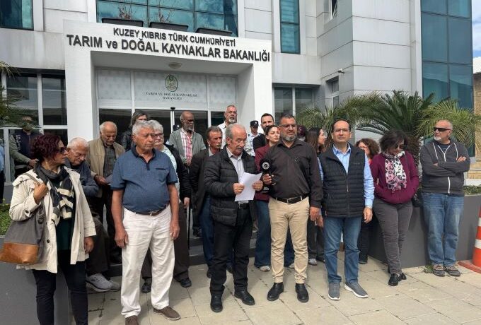 Çevre Platformu’ndan Bakanlığa çam kese böceği tepkisi