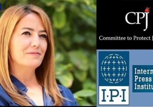 Uluslararası basın örgütlerinden acil çağrı: Gazeteci Ayşemden Akın korunmalı, tehditler soruşturulmalı