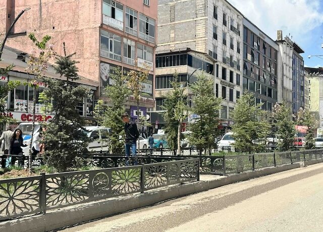 Cengiz Topel Caddesi’ne Sırrı Süreyya Önder ismi verildi